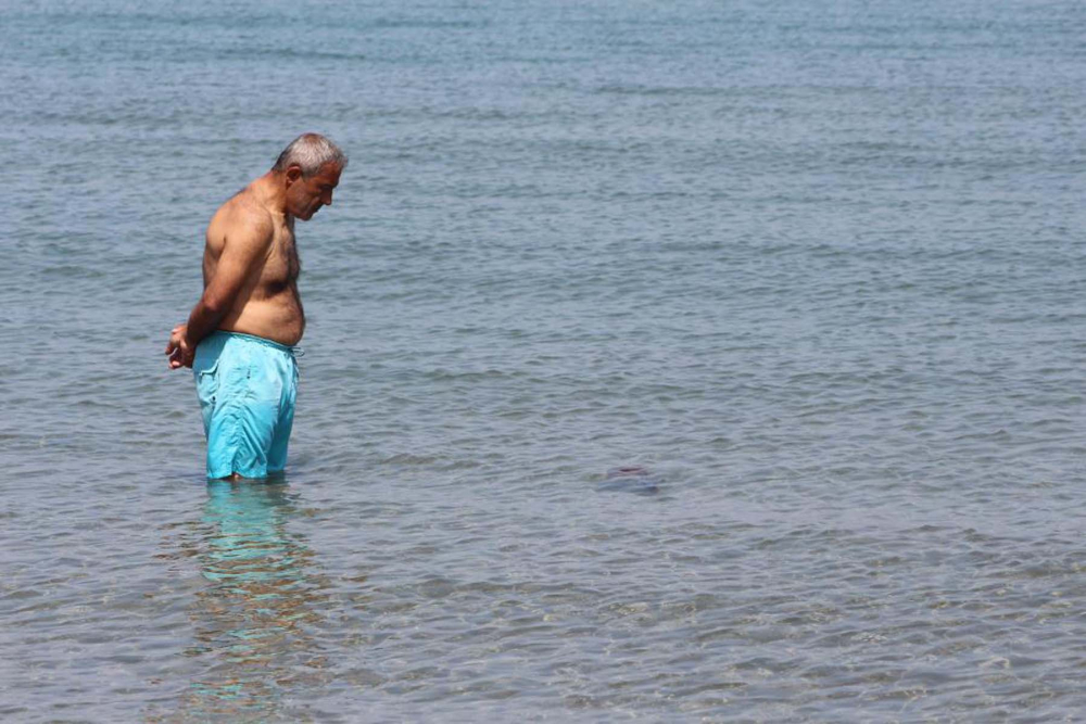 Zehirli denizanaları Tekirdağ Sahili'nde görüldü! Ne ölüsüne ne dirisine dokunmayın 4