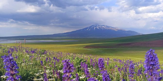 Rengarenk manzarasıyla görsel şölen yaşatan Sütey Yaylası ve Süphan Dağı’ndan muhteşem görüntüler