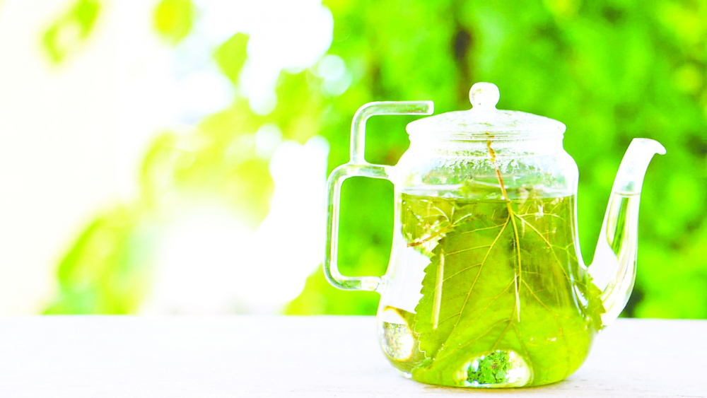 Bahçesinde dut ağacı olanlar yaşadı! Yapraklarının faydaları tam bir vitamin deposu! 7