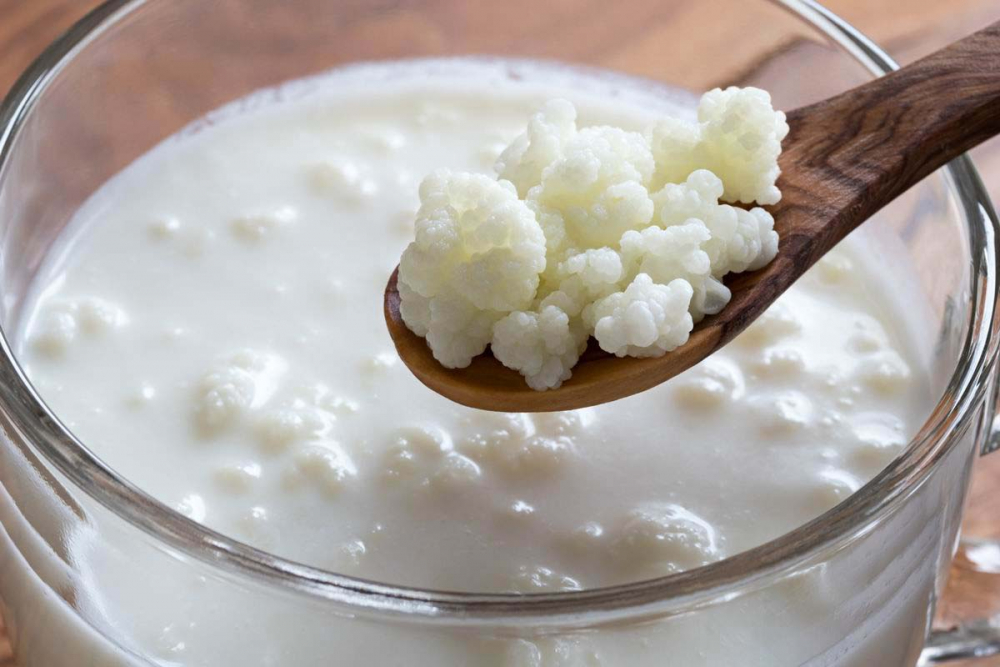 Yoğurttan bile faydalı olduğu söyleniyor! Kefir, sağlığa mucize bir şekilde etki ediyor 4