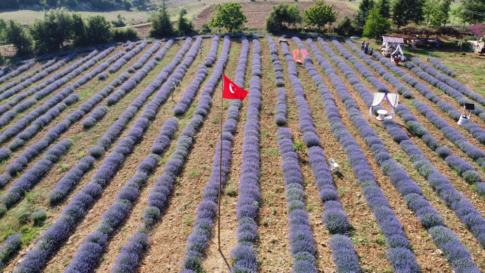 Lavantaların kraliçeleri! Memleketlerini çorak arazilerden turizm cennetine dönüştürdüler 5