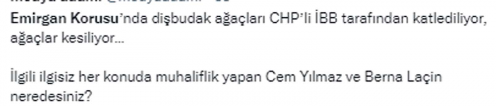 CHP'li İBB ağaç katletmeye doymuyor! Sıra Emirgan Korusu'na geldi! Sosyal medya yıkıldı! "Geziciler nerede?" 9