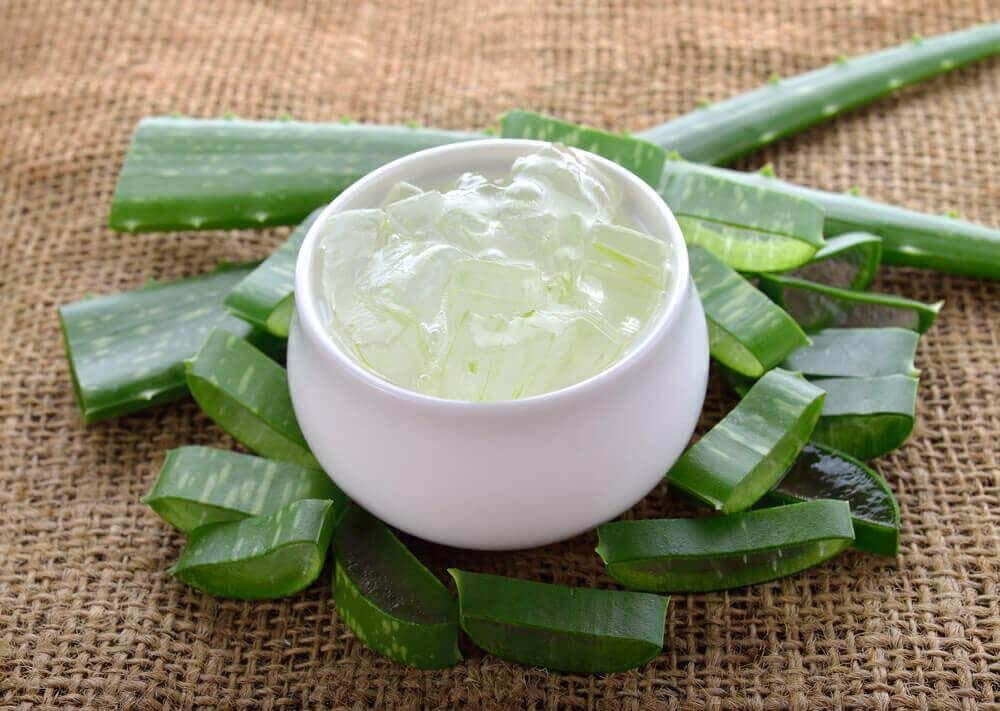 Güneşin yakıcı etkisine doğal çözüm! Aloe vera cildi nemlendiriyor, koruyor... 4