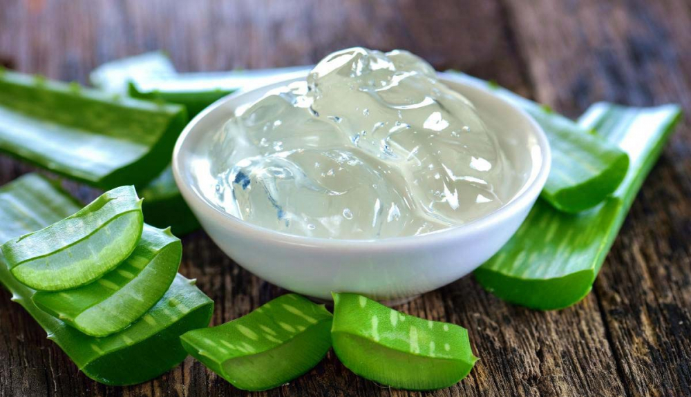 Güneşin yakıcı etkisine doğal çözüm! Aloe vera cildi nemlendiriyor, koruyor... 5