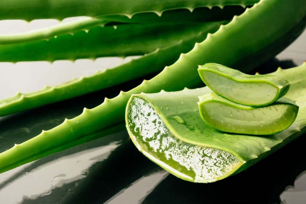 Güneşin yakıcı etkisine doğal çözüm! Aloe vera cildi nemlendiriyor, koruyor... 7