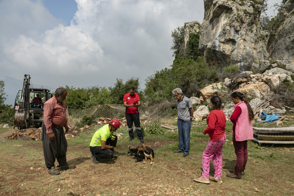 Düştüğü çukurda 2 gün boyunca yaşam mücadelesi verdi! Mahsur kaldığı kayalıkların arasından kurtarılma anları kameralara yansıdı 2