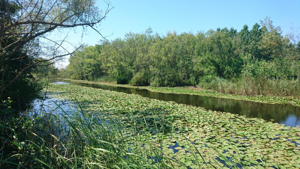 Şehrin kalabalığından uzakta, sakin ve huzur dolu bir kafa tatili için kamp yapılabilecek harika yerler! 6