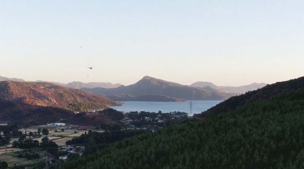 Muğla Marmaris'teki orman yangını tahribat bıraktı! Yeşil alanlar küle döndü, doğal yaşam zarar gördü! 11