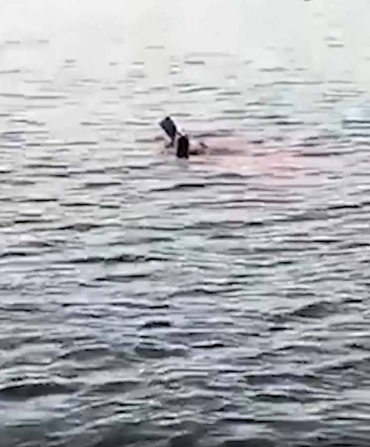 68 yaşındaki kadın, köpek balığına yem oldu! Saldırı sırasında kolunu ve bacağı kopan kadın, yaşamını yitirdi 4