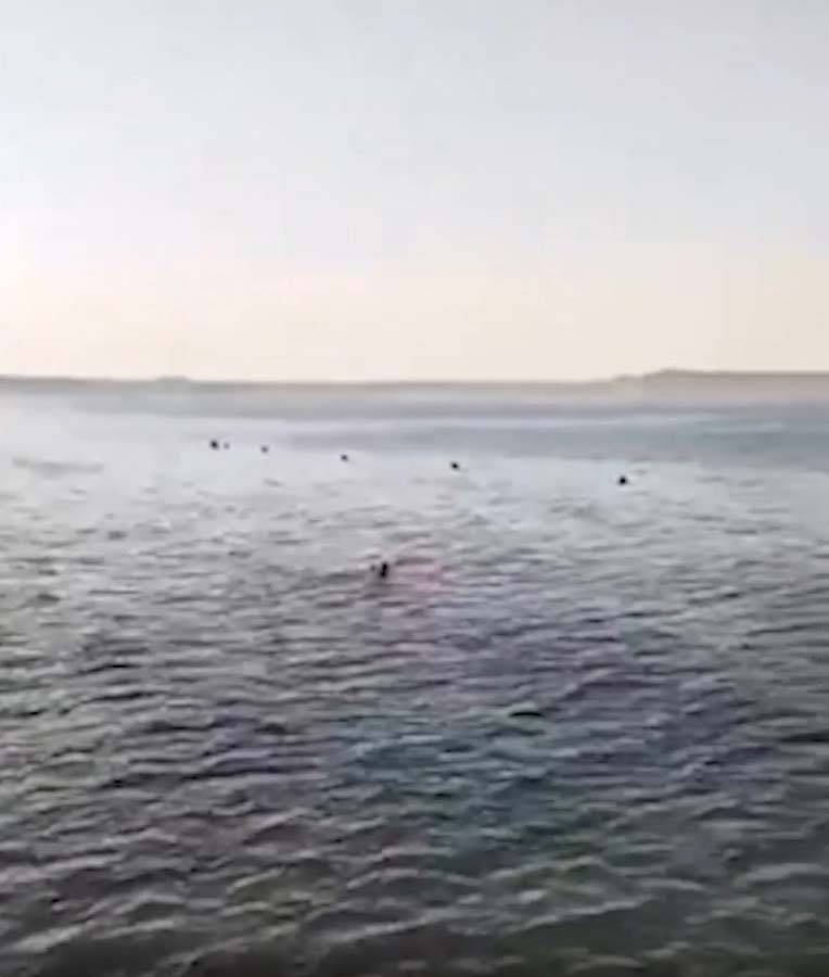 68 yaşındaki kadın, köpek balığına yem oldu! Saldırı sırasında kolunu ve bacağı kopan kadın, yaşamını yitirdi 5