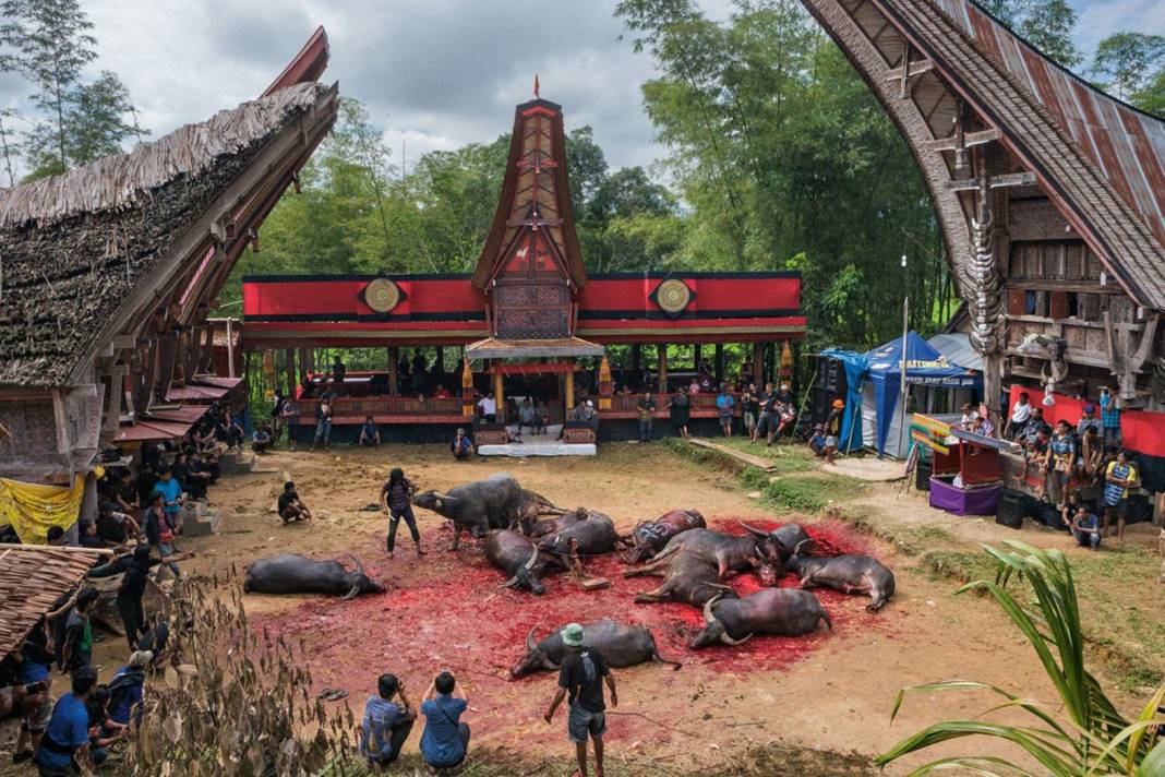 Ölüleri giydirip yemek yediriyorlar! Toraja kabilesinin ilginç ritüellerini inanmak çok güç! 4