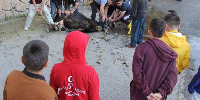 Kurban Bayramı'nda değişmeyen manzara! Sivas'ta çocukların gözü önünde kurbanlık kesildi! Korkuları yüzlerine yansıdı