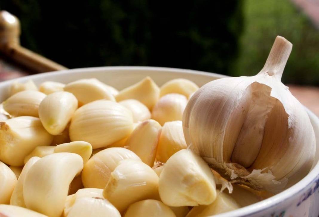 Eskilerin bir bildiği varmış! Sarımsak sağlam bir vücudun altın anahtarı! 9