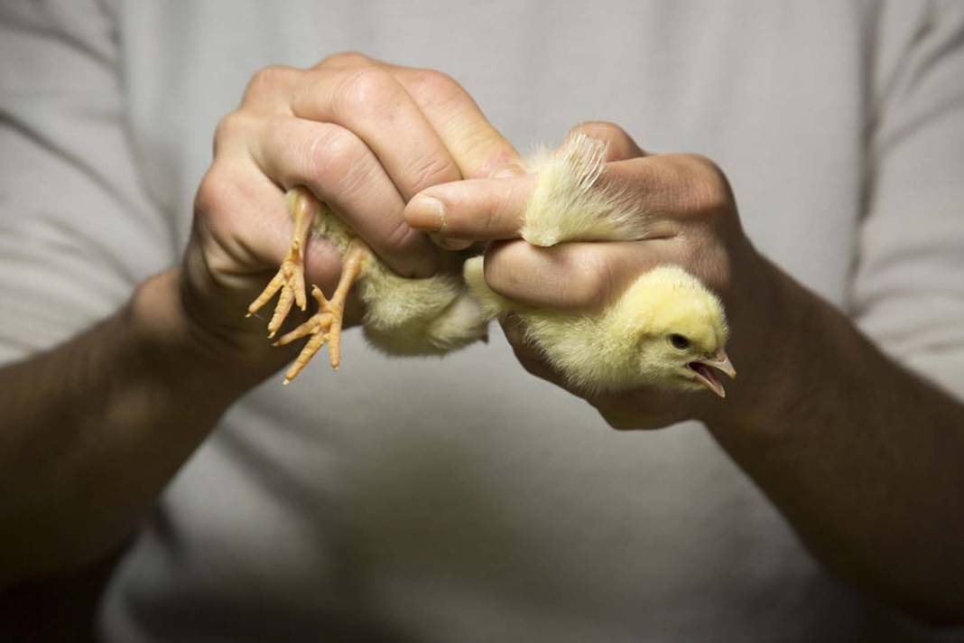 "Ben yorulmadan para kazanmak istiyorum" diyenler buraya! İşte kolay yoldan para kazandıran 5 meslek! 5