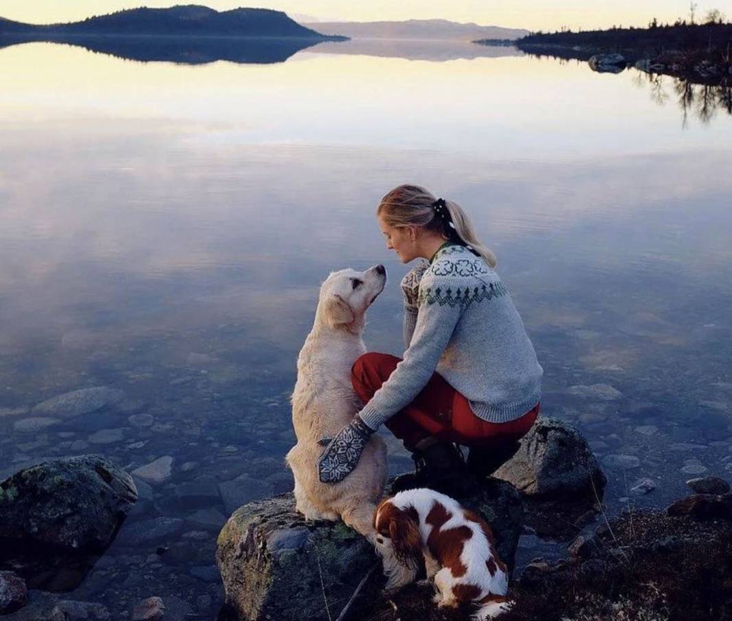 Norveç Adalet Bakanı yasakları çiğnedi! Bütün oklar bakana çevrildi! "Yönetim kurulundan çıkmalı" 5