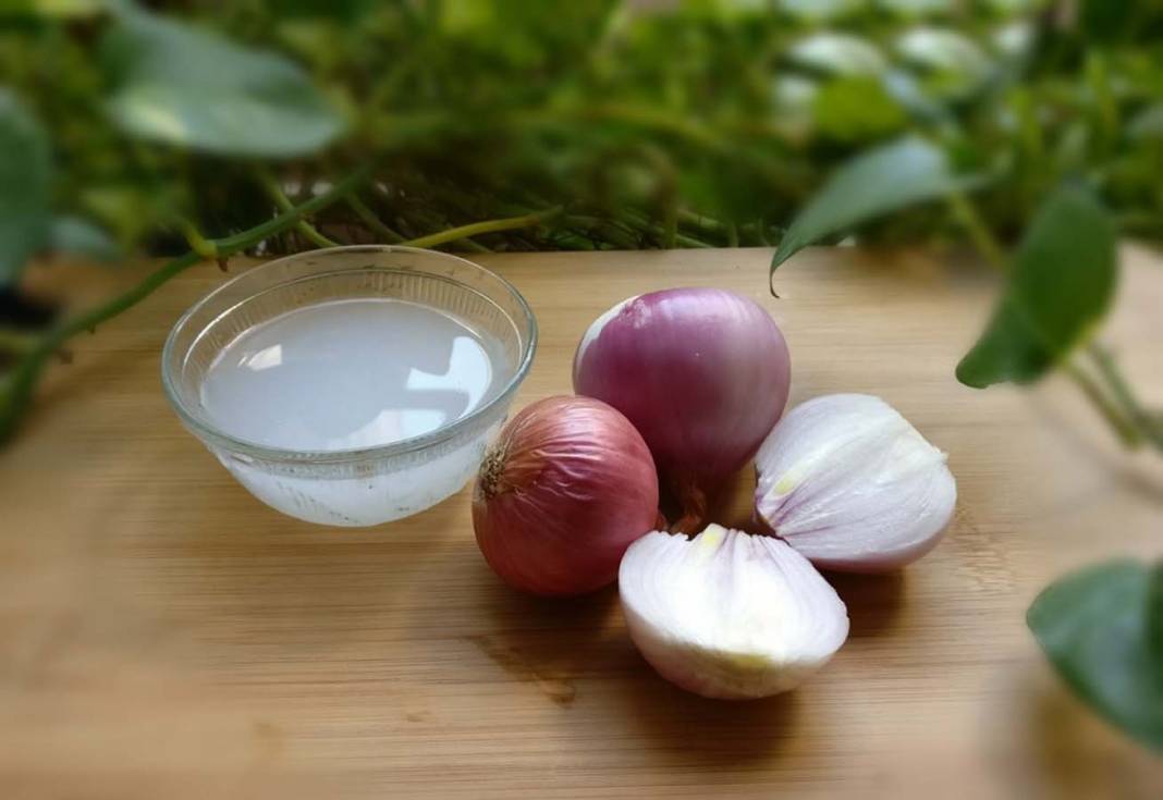 Kötü kokusunu unutun ve etkilerini görmeye izin verin! Soğan suyunun denenmiş, kanıtlanmış faydaları! 3