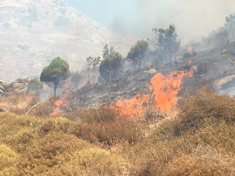 Marmara Adası'ndaki yangın yerleşim yerlerine kadar geldi 1