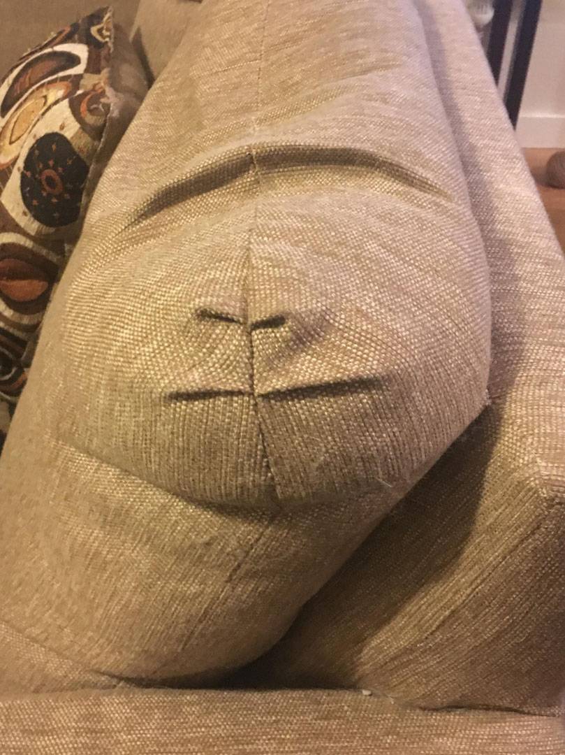 Nesneleri olduğundan farklı görme, insan suretine ya da hayvan figürüne benzetme durumu olan pareidolia hakkında bilinmeyenler... 1