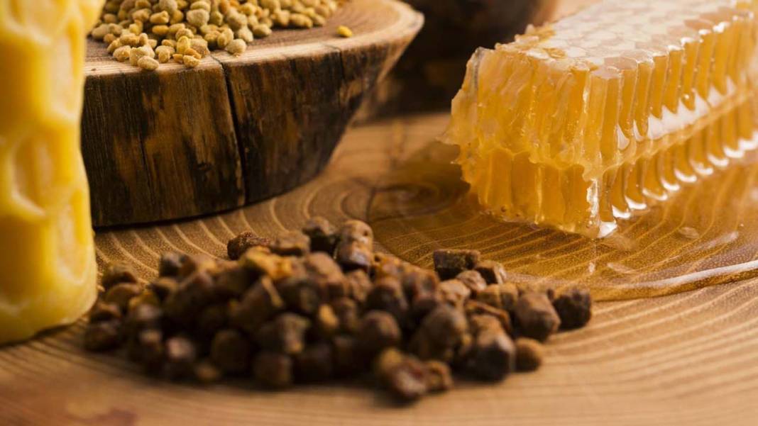 İnsan vücudunda tutkal görevi görüyor! Propolis, hastalıkların kendisine uğramasını istemeyenlere şifa oluyor! 2