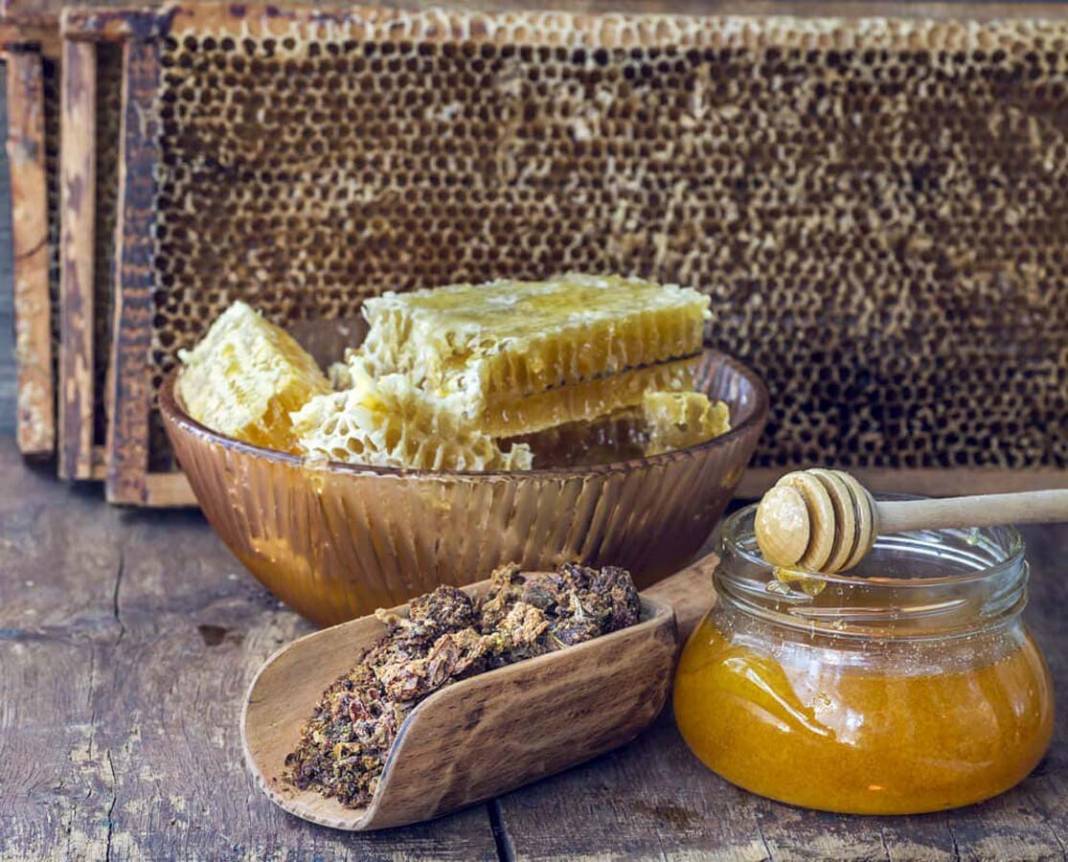 İnsan vücudunda tutkal görevi görüyor! Propolis, hastalıkların kendisine uğramasını istemeyenlere şifa oluyor! 6