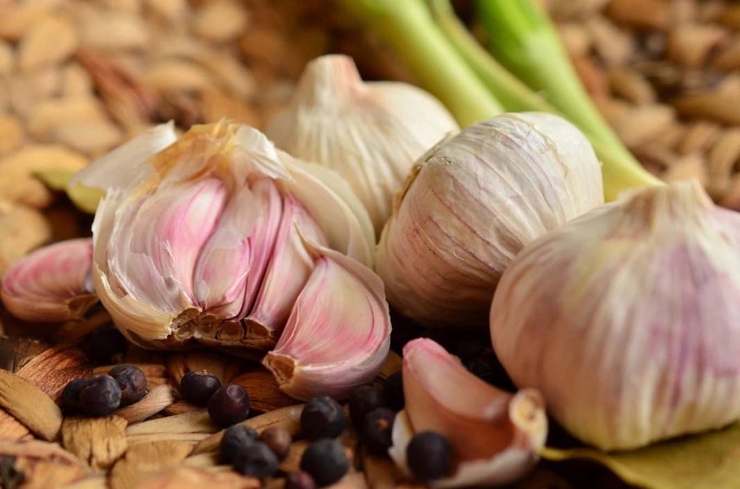 Doğal antibiyotik ve ağrı kesici! Her gün 1 adet sarımsak tüketmek hastalılara karşı karşı güçlü koruma sağlıyor! 1