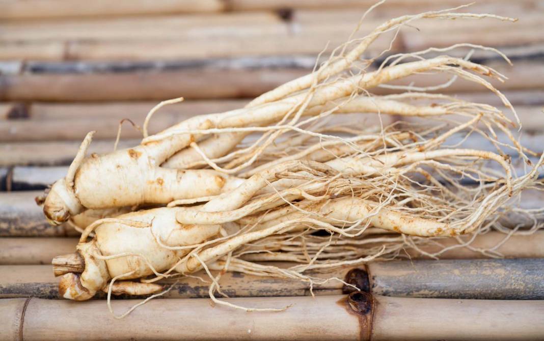 Çin tıbbının binlerce yıldır değişmeyen sağlık formülü! Ginseng'in sağlık için kanıtlanmış faydaları! 3