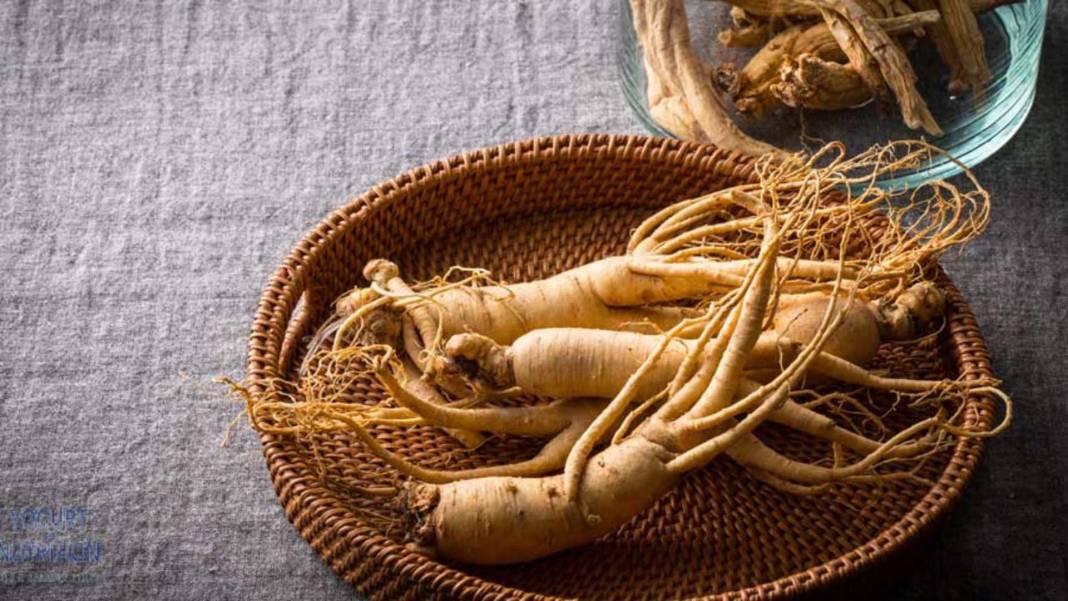 Çin tıbbının binlerce yıldır değişmeyen sağlık formülü! Ginseng'in sağlık için kanıtlanmış faydaları! 6