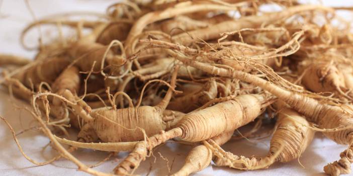 Çin tıbbının binlerce yıldır değişmeyen sağlık formülü! Ginseng'in sağlık için kanıtlanmış faydaları!