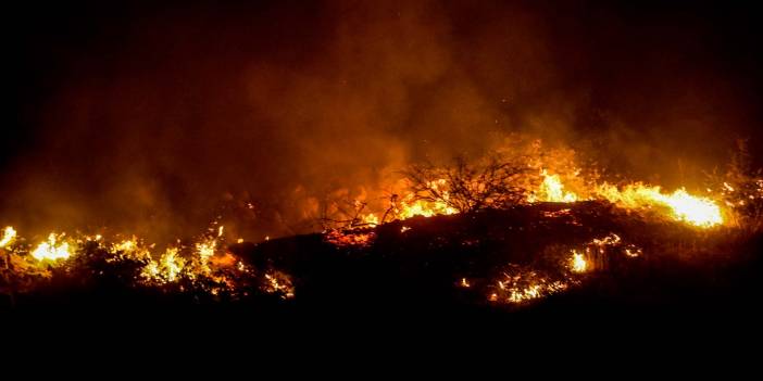 Mersin Gülnar'da orman yangını! 24 saat geride kaldı, çalışmalar sürüyor! İşte son durum...