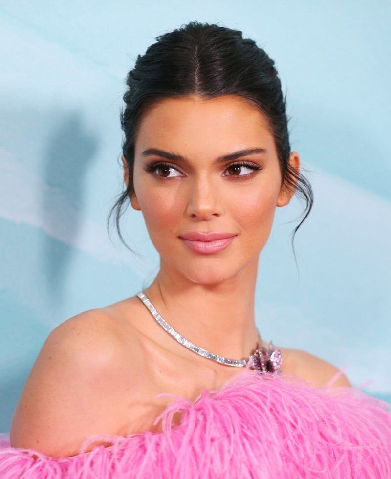 Kendall Jenner'dan nefes kesen pozlar 6