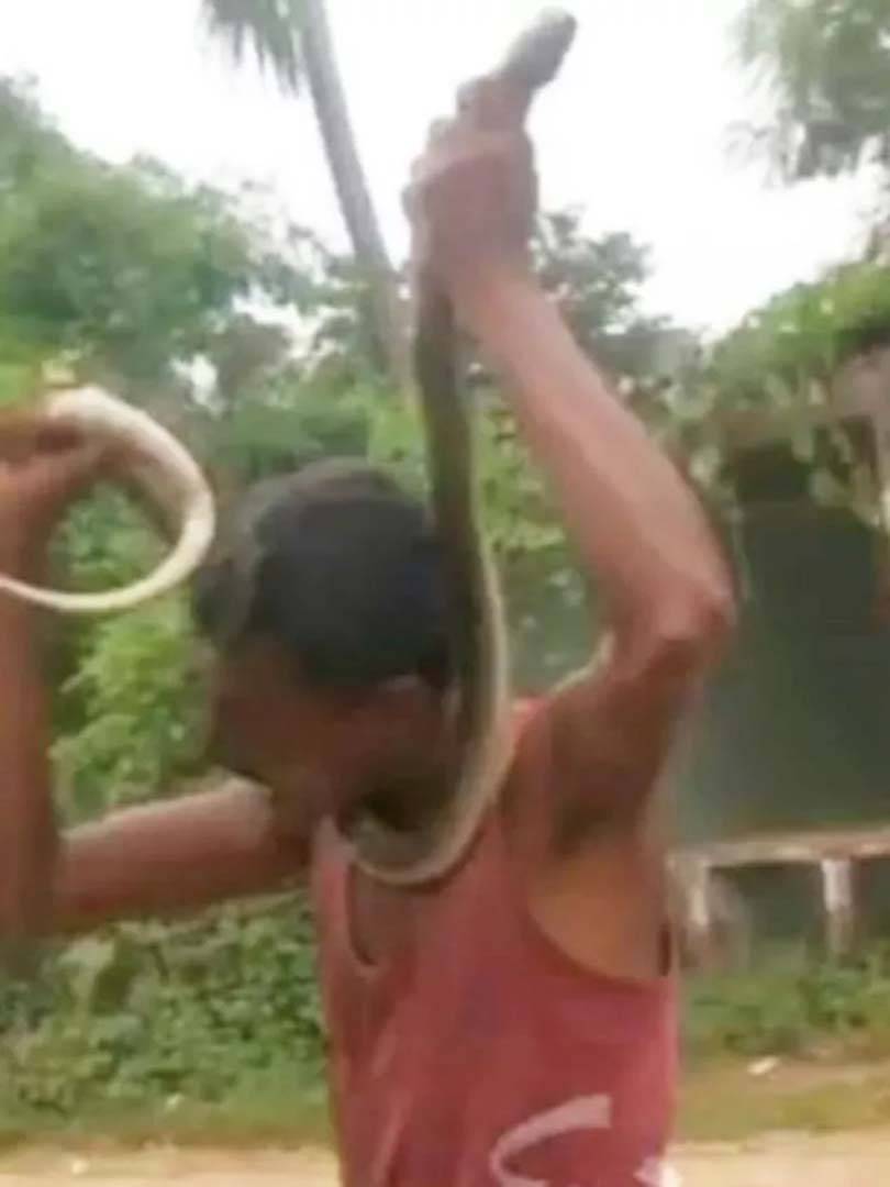 Kendisine saldıran yılanı zehirleyip ısırarak öldüren adamın bir garip olayı! 5