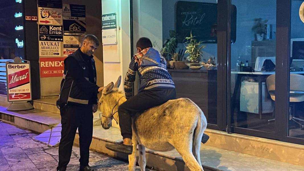 Düzce'de şehre inen eşek ilgi odağı oldu! Kimisi fotoğraf çekti, kimisi üzerine bindi 11