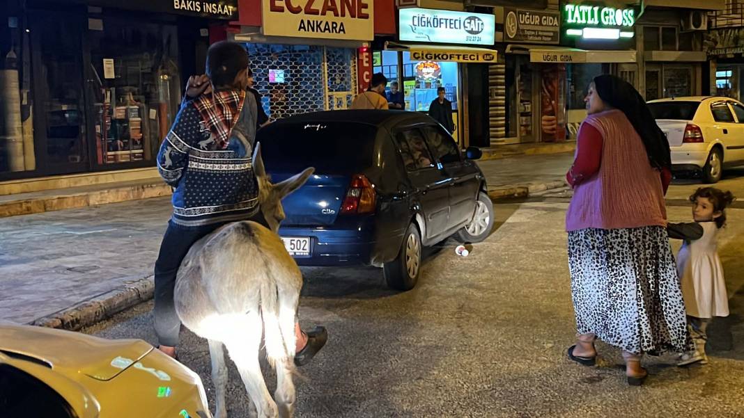 Düzce'de şehre inen eşek ilgi odağı oldu! Kimisi fotoğraf çekti, kimisi üzerine bindi 12