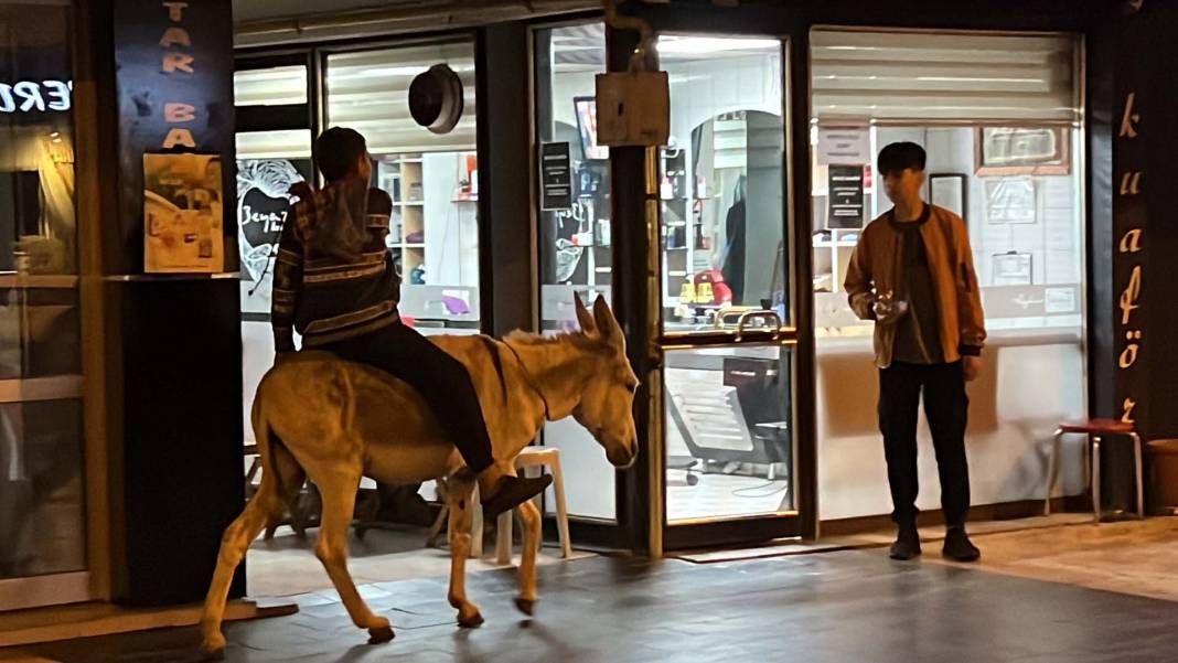 Düzce'de şehre inen eşek ilgi odağı oldu! Kimisi fotoğraf çekti, kimisi üzerine bindi 13