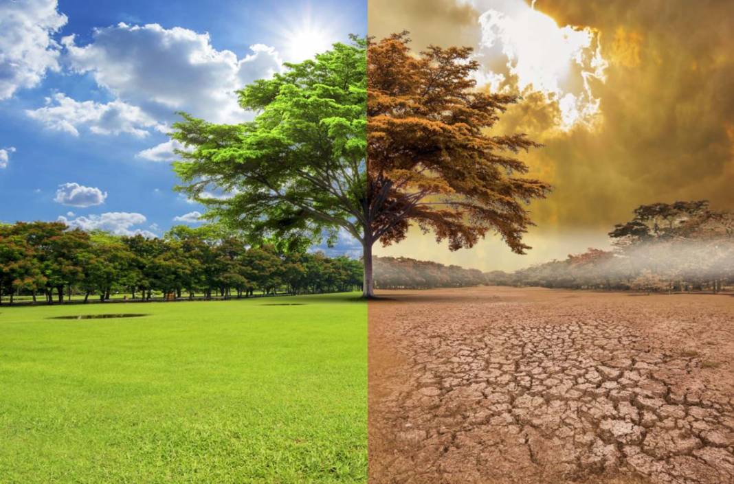 Türkiye'nin de içerisinde bulunduğu 5 ülkeyi gelecekte öyle şeyler bekliyor ki... 4