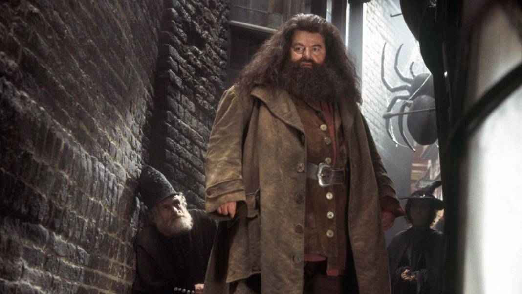 Harry Potter serisinin Hagrid'inden acı haber! Robbie Coltrane hayatını kaybetti 2