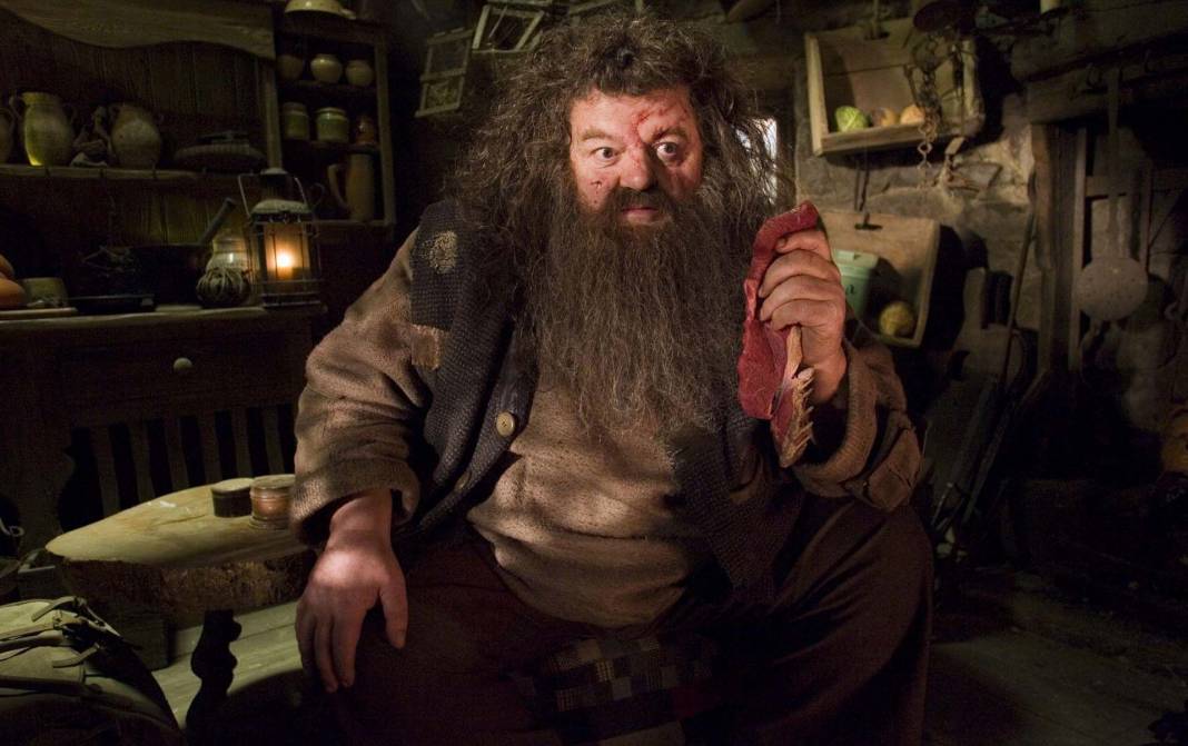 Harry Potter serisinin Hagrid'inden acı haber! Robbie Coltrane hayatını kaybetti 4