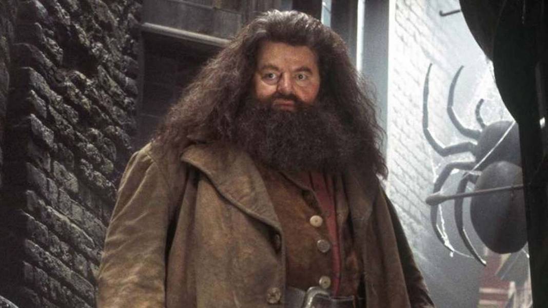 Harry Potter serisinin Hagrid'inden acı haber! Robbie Coltrane hayatını kaybetti 5