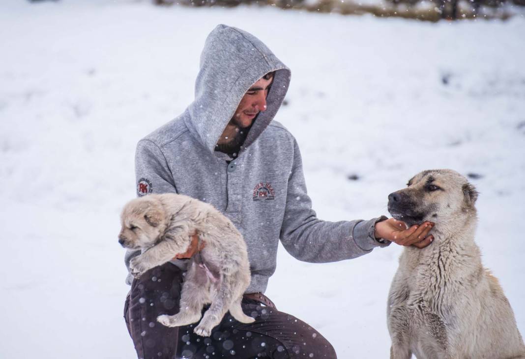 Kars'ta kar yağışı etkili oldu! Kent beyaz örtüyle kaplandı, sıcaklık eksiye düştü 5