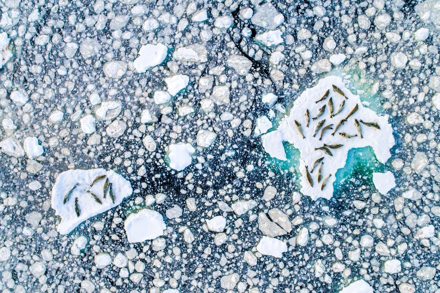 2019 yılının en iyi 33 fotoğrafı seçildi 23