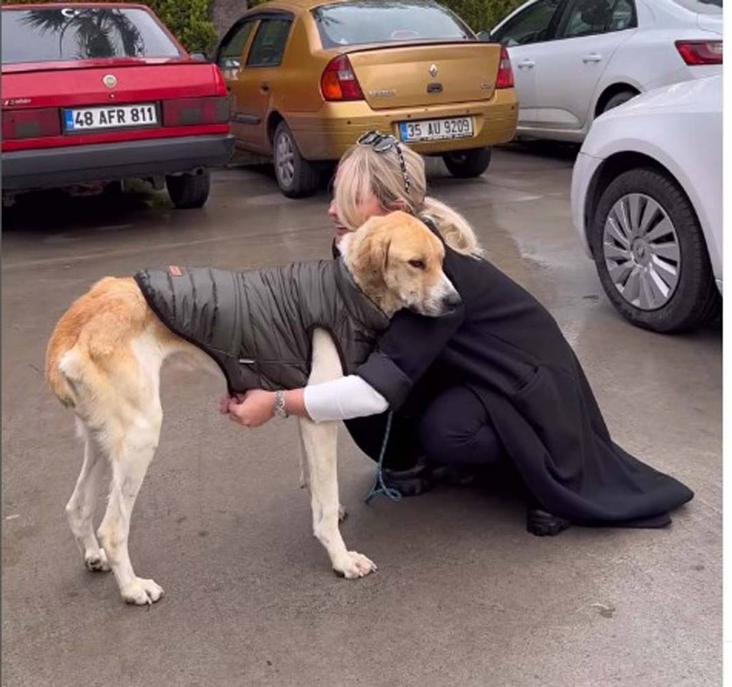 Fenomen Meriç Keskin'den duygulandıran paylaşım! Konya'daki barınaktan köpek sahiplendi: "Hoş geldin oğlum" 1