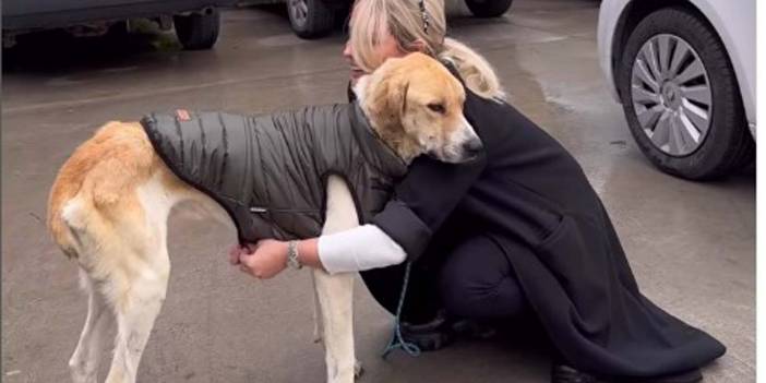 Fenomen Meriç Keskin'den duygulandıran paylaşım! Konya'daki barınaktan köpek sahiplendi: "Hoş geldin oğlum"