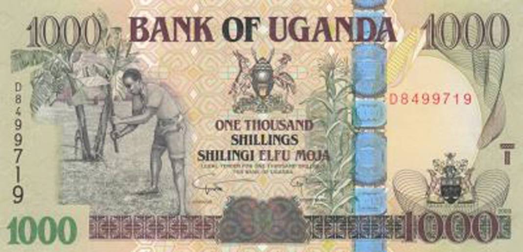 En değersiz para birimleri hangisi? İşte Dünyanın en değersiz 20 para birimi 12