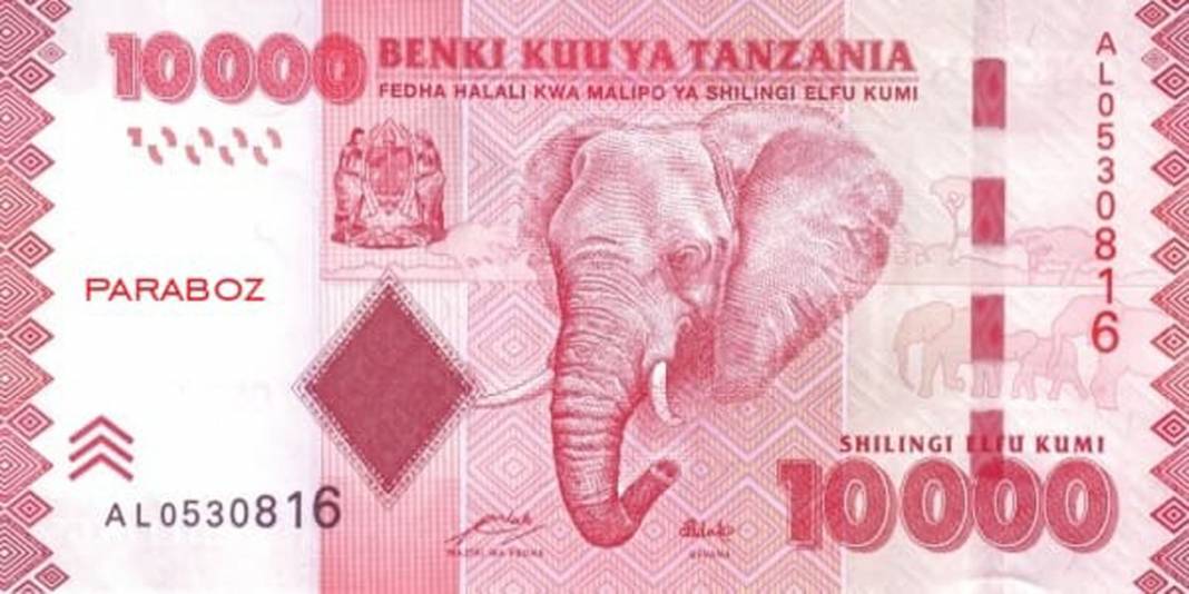 En değersiz para birimleri hangisi? İşte Dünyanın en değersiz 20 para birimi 17