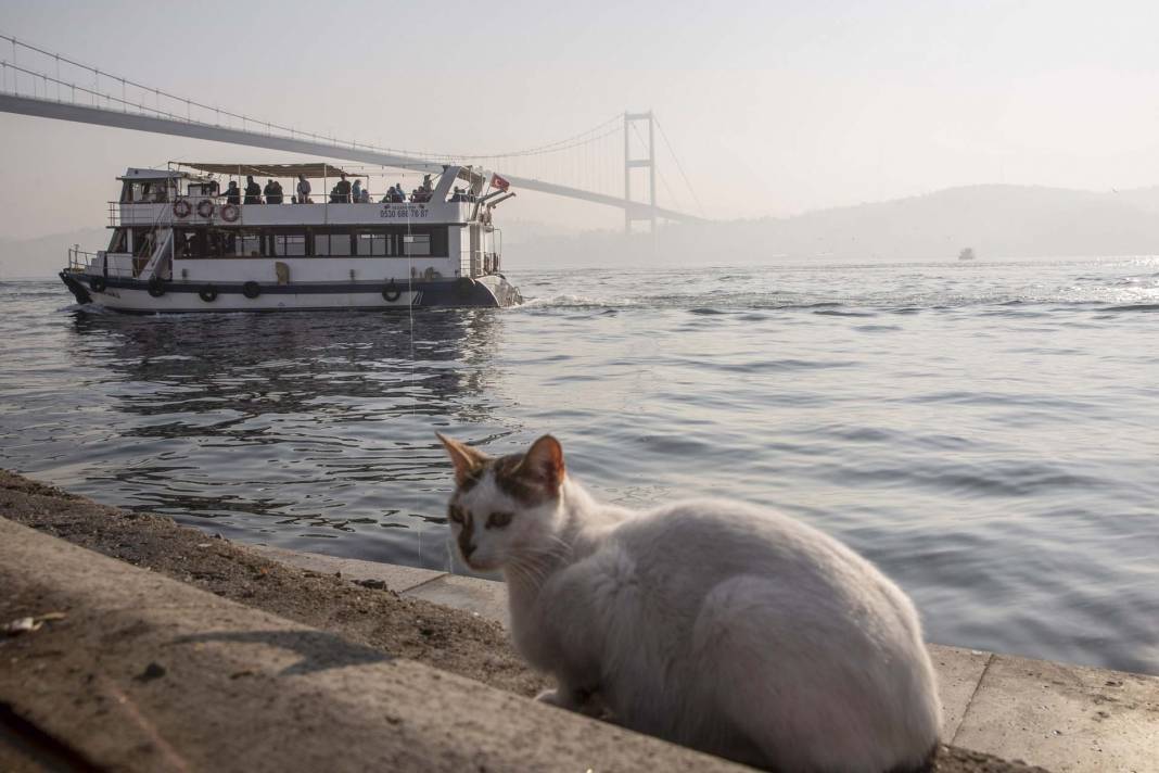 İstanbul'dan sis manzaraları! Fatih Sultan Mehmet Köprüsü yok oldu 24