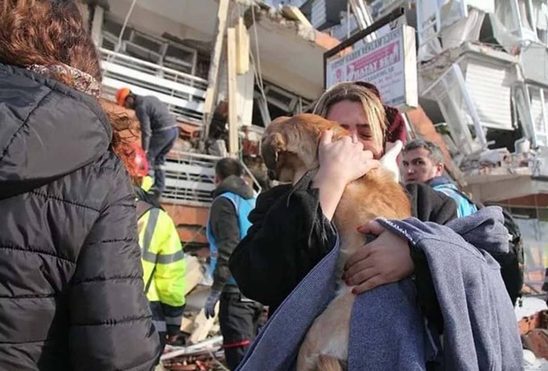 Can dostlarımız da afetten etkilendi! Kahramanmaraş depreminden kurtulan hayvanlar! 9