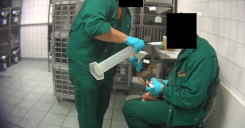 Almanya'daki bir laboratuvarda hayvanlara işkence görüntüleri ortaya çıktı 1
