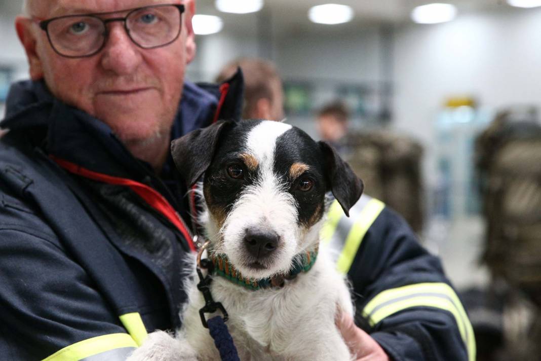 Depremzedelere umut oldular! Arama kurtarma ekiplerinin vazgeçilmezi hassas burunlu köpekler! 14