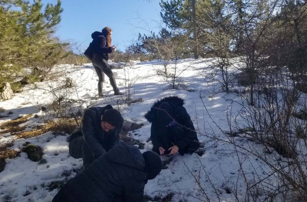 Bu çiçeği koparmak yürek ister! Cezası iki katına çıktı! 12