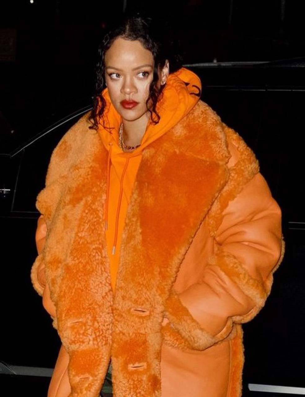 Hayvan Hakları Örgütü Rihanna'nın kürklerini depremzedelere göndermesini istedi! 3